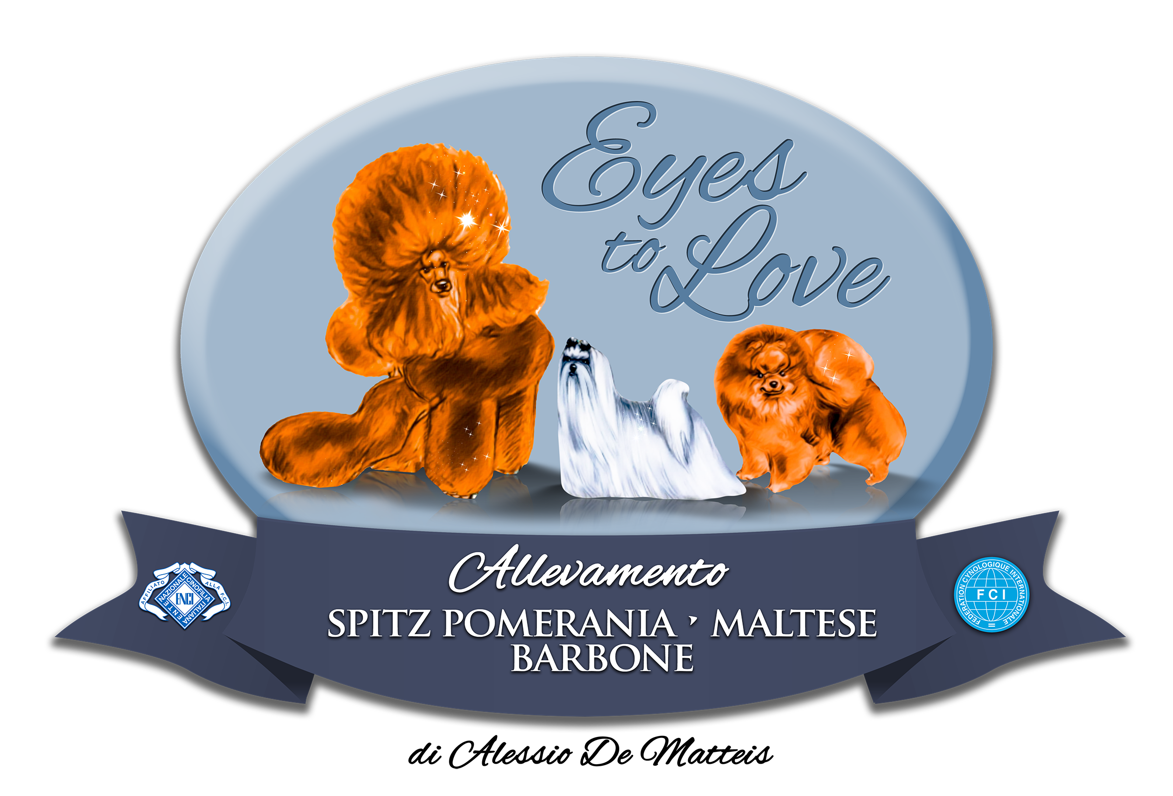 Eyes To Love - allevamento cuccioli barboncini toy e nano, maltese e spitz di pomerania