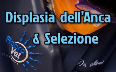 DISPLASIA E SELEZIONE 🌈