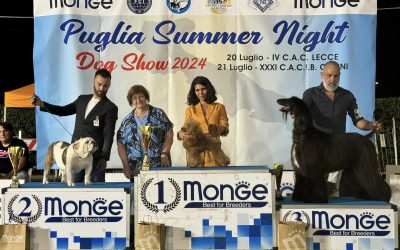 Puglia Summer Night Dog Show