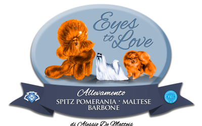 BENVENUTI IN ALLEVAMENTO EYES TO LOVE ! 🐾