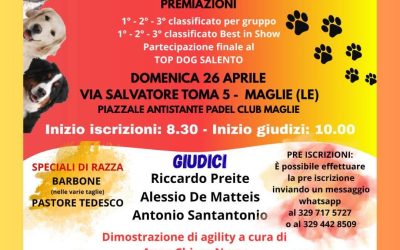 1ª EXPO CINOFILA AMATORIALE “Maglie Dog Show”